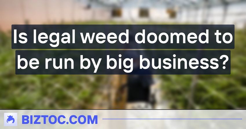 Is legal weed doomed to be run by big business?