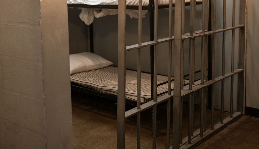  Shocker: Among the books banned in New Jersey prison libraries are “Starting Your Own Cannabis Business” and “Great Prison Escapes” [Asinine]