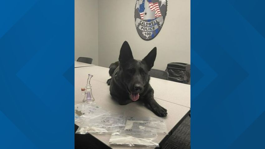  Caldwell Police dog sniffs out drugs in suspect’s car