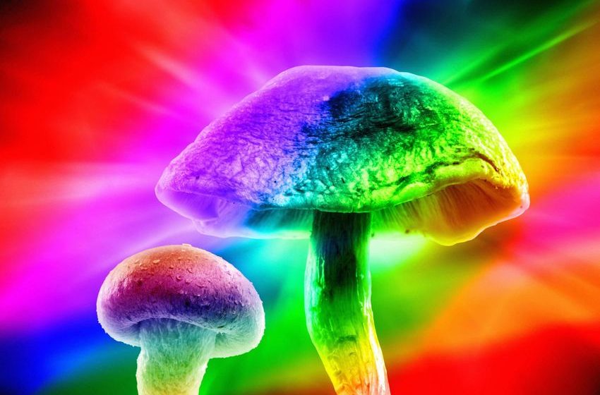  California Bill Builds on Reforms That Could Herald the Surprisingly Fast Collapse of Psychedelic Prohibition