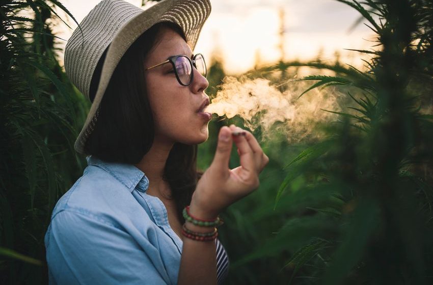 Why Investors Were High on These 2 Marijuana Stocks Today