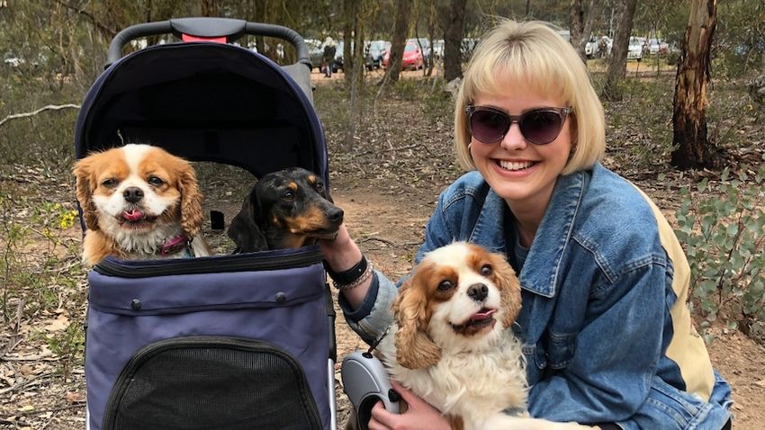 New MP Georgie Purcell benefited from Victoria’s upper-house voting system, but she wants it scrapped