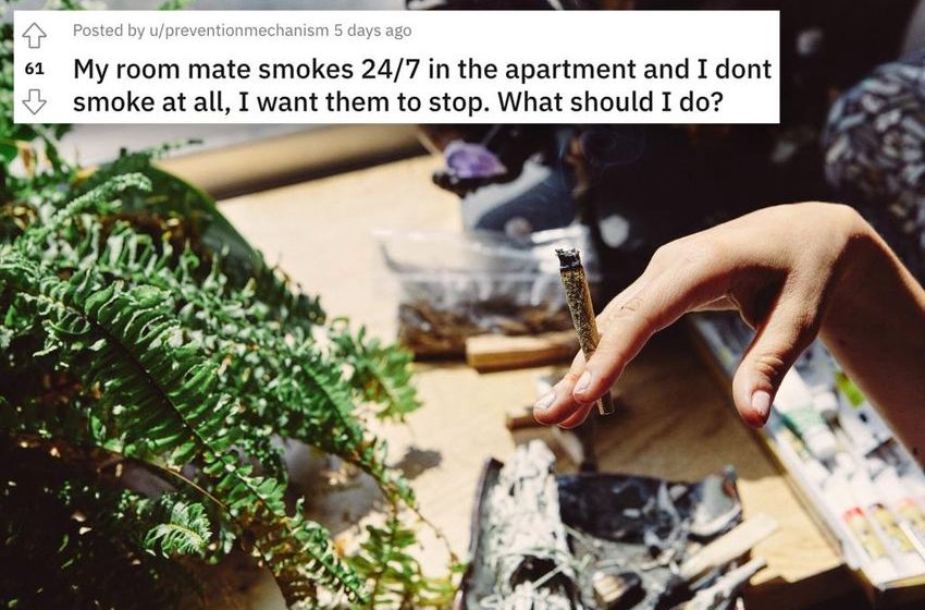  Redditor with weed-smoking roommate is trolled for seeking help