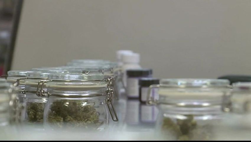  Future marijuana business owner hopes to use store to better … – News 12 Long Island