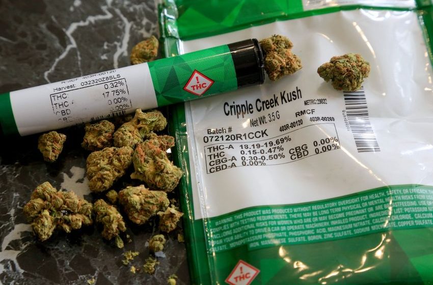  Research shows cannabis is not a ‘gateway drug’ – FOX 31 Denver