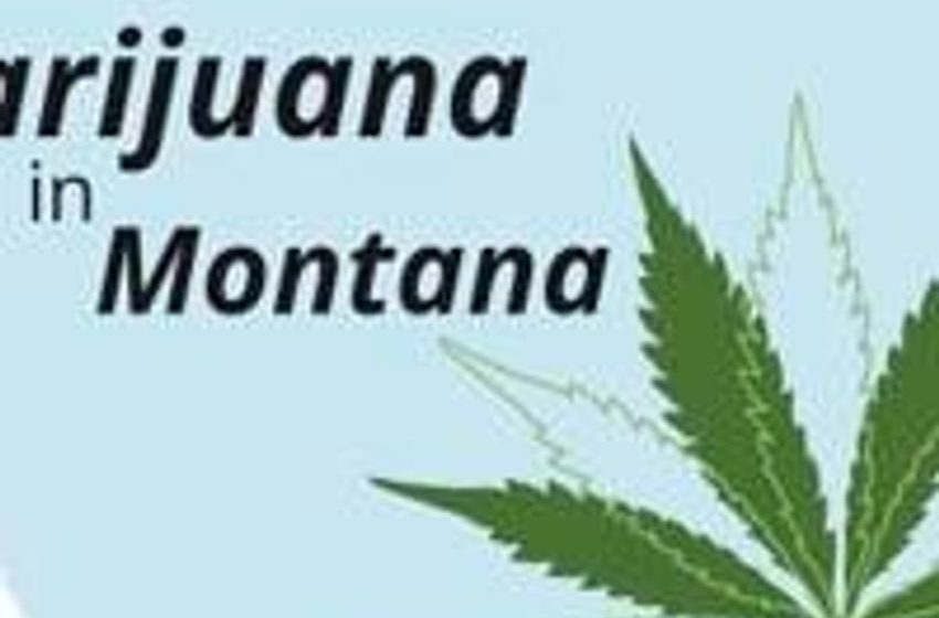  Yellowstone County cannabis dispensary business continues to grow – The Livingston Enterprise