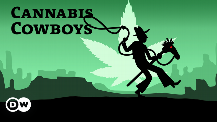  Cannabis Cowboys: DW investigative true crime podcast drops