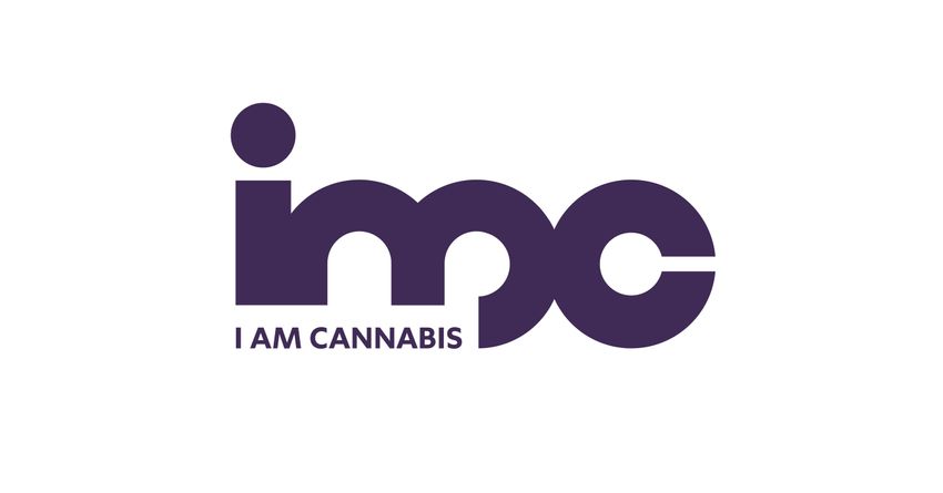  RAFAEL GABAY ACQUIRES SECURITIES OF IM CANNABIS CORP.