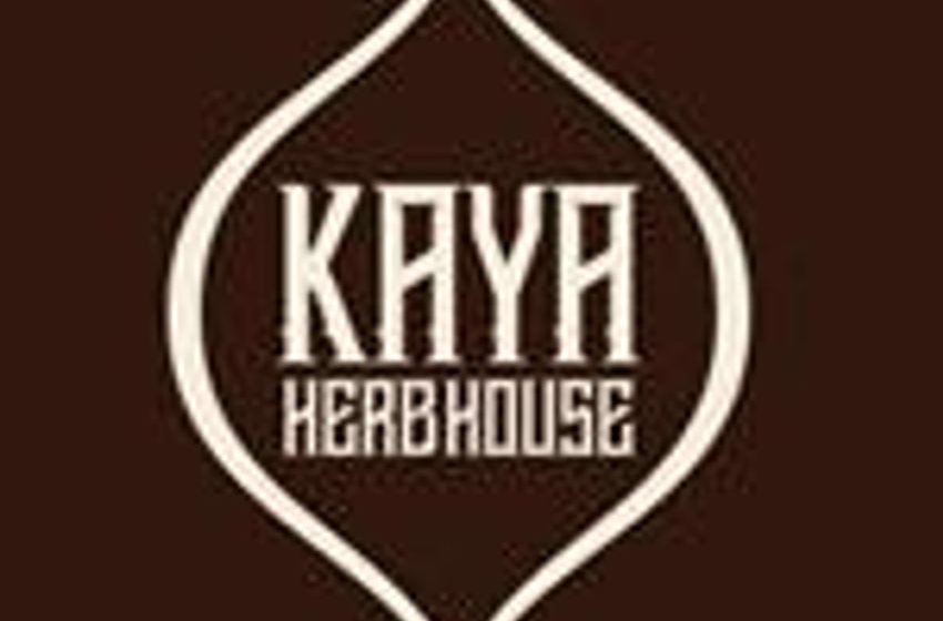  Kaya Enters Jamaica’s Legal Psilocybin Market