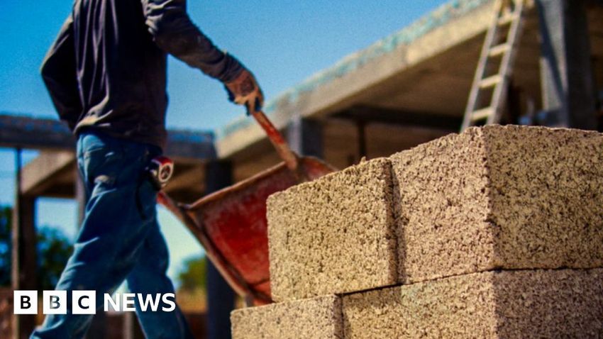  Hemp makes a comeback in the construction industry – BBC