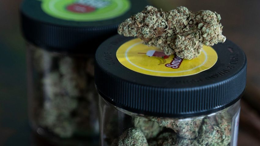 Democrats introduce bill to legalize marijuana in Tennessee, GOP likely to block it