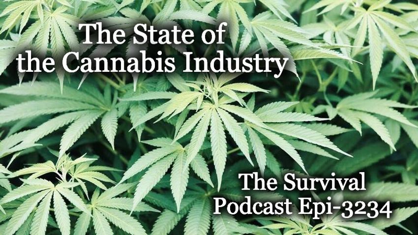  The State of the Cannabis Industry – Epi-3232