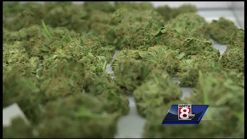  Record year in Maine cannabis sales brings mixed reactions