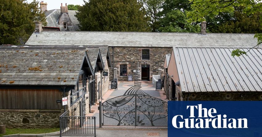 British taxpayers get stake in psychedelic medicine, whisky and footballers’ investor