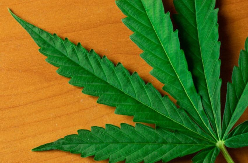  Minnesota Lawmakers Start Down Path to Legalizing Recreational Marijuana
