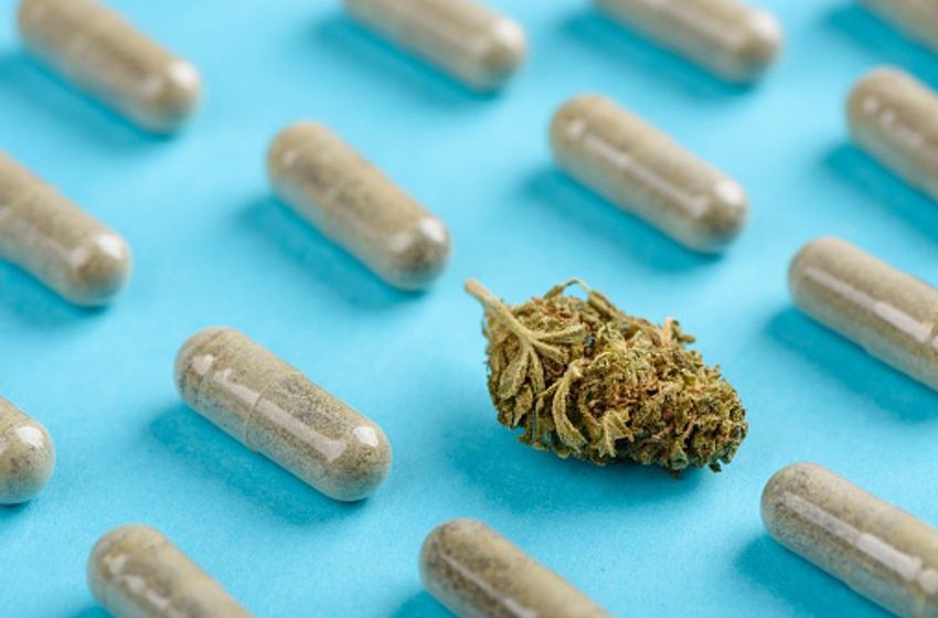  FDA issues final guidance on cannabis-based drugs for developers