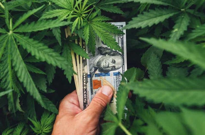 Cannabis Is A Long-Term Play