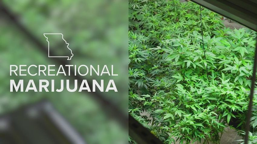  Missouri dispensaries sell $8M in recreational marijuana in 1st weekend, health department says