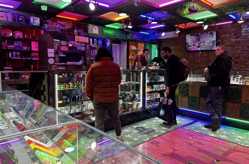 The Growing Illegal Market of Cannabis