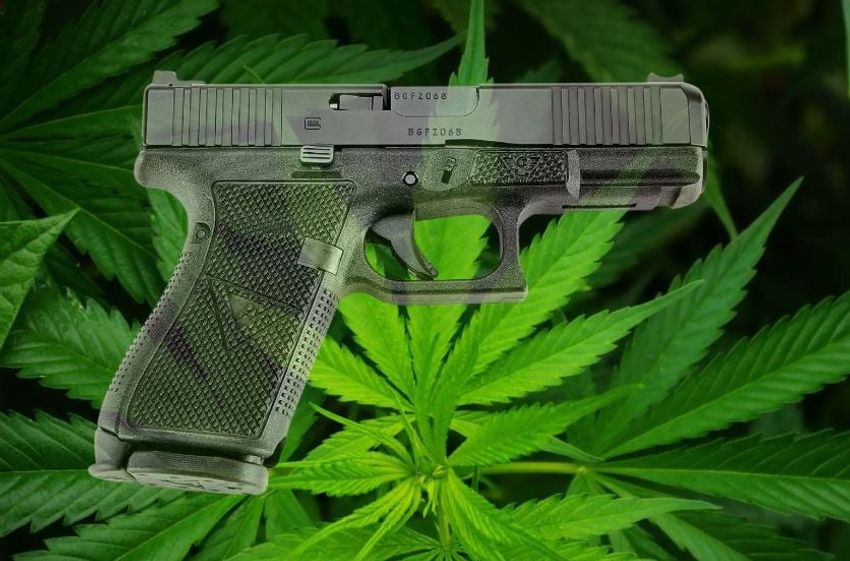  Federal Judge Rules Banning Guns for Marijuana Users is Unconstitutional