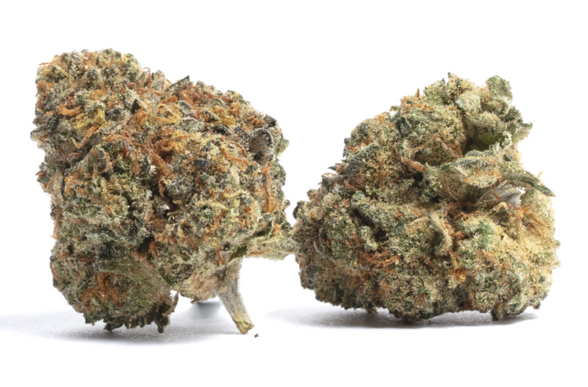 How Strong Is the Wedding Crasher Strain? 4 Things Beginners Should Know
