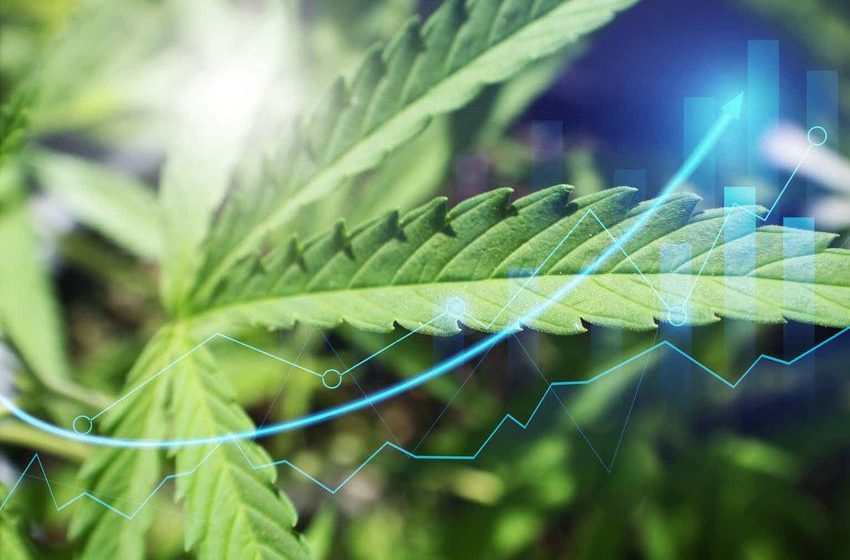 Looking For The Cheapest Cannabis Stocks (Transcript)