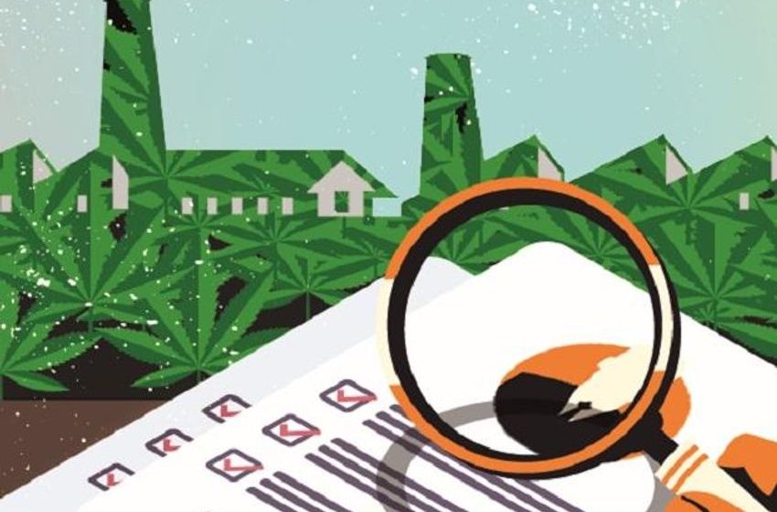  Looking for job? Cannabis industry going on a hiring high in NY
