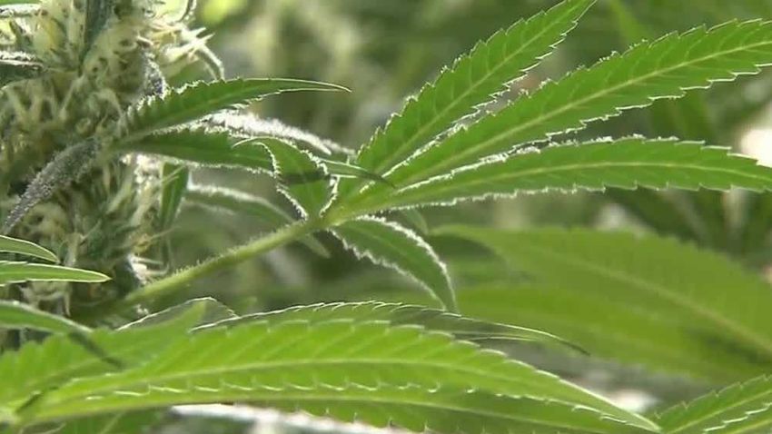  New Hampshire House gives initial approval to recreational marijuana legalization bill