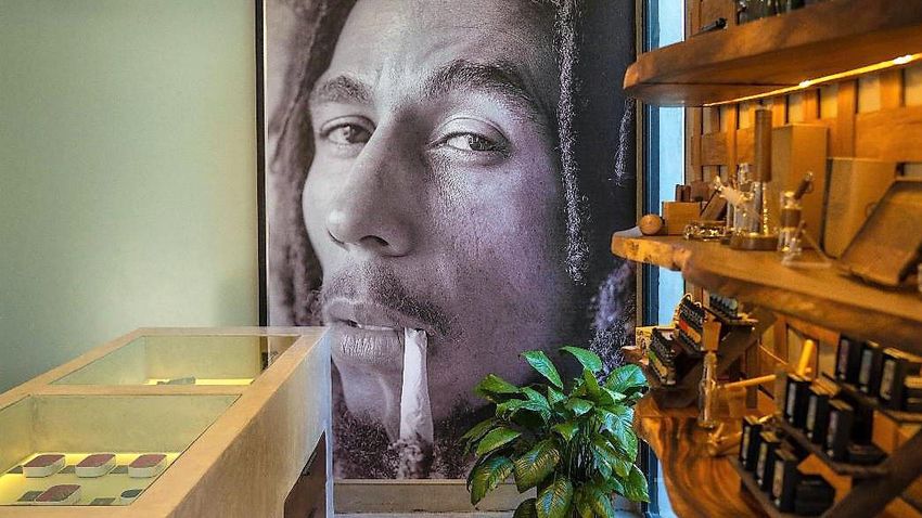  First Bob Marley-Branded Cannabis Store Comes To Market
