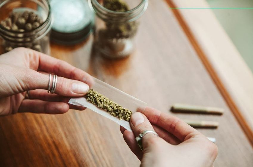 Regular cannabis consumption could give you a heart attack, new study reveals