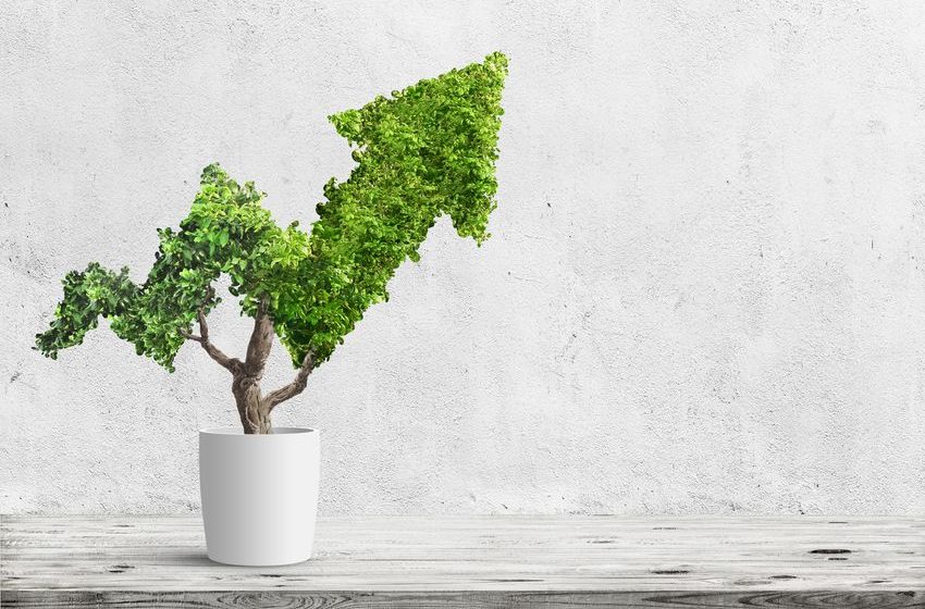 Is It Too Late to Buy Innovative Industrial Properties Stock?