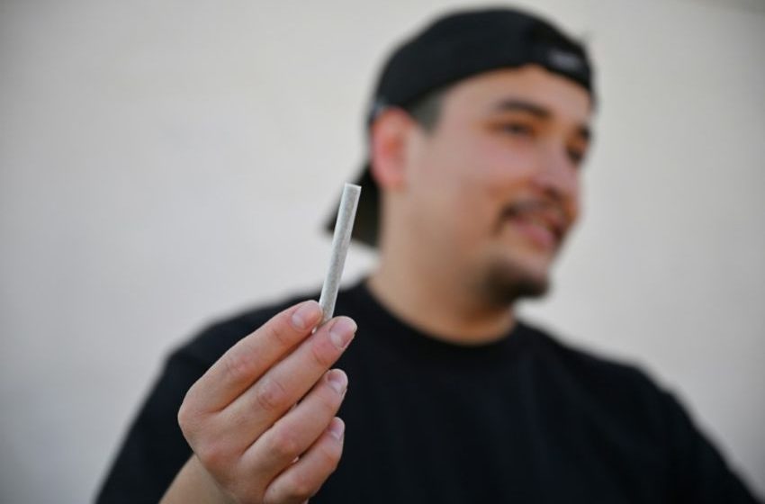 California’s Cannabis Black Market Thrives Despite Legalization
