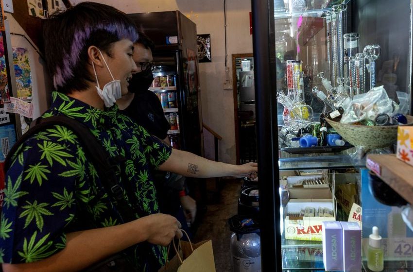  Thailand’s cannabis policy experiment