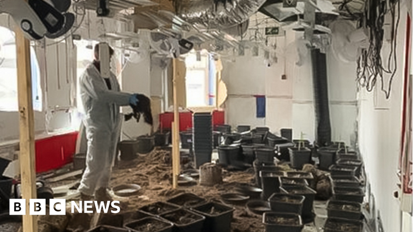 Barry bingo hall cannabis farm is uncovered by police