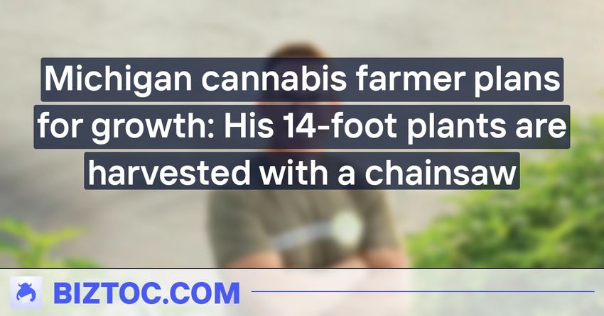  Michigan cannabis farmer plans for growth: His 14-foot plants are harvested with a chainsaw