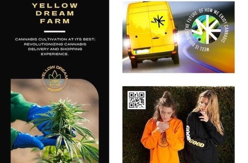 Direct-to-Consumer Cannabis Delivery Apps – Yellow Dream Farm Launches WEEL App (TrendHunter.com)
