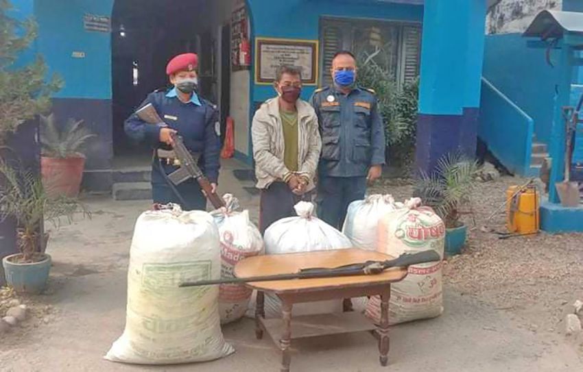  Indian national arrested in Birgunj with 141 kilos of marijuana