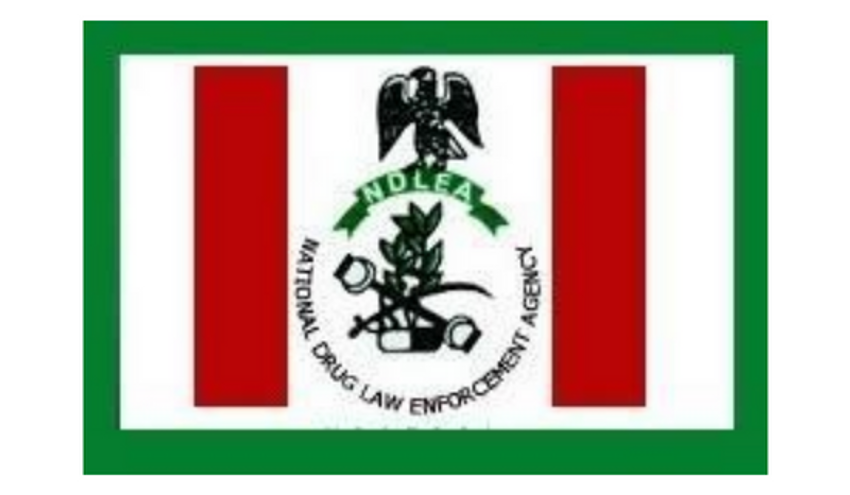  NDLEA seizes 228kg cannabis, arrests suspect in Ondo