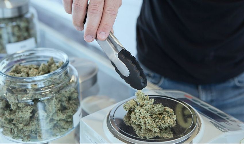  Studies Link Marijuana Legalization to Positive Public Health Outcomes