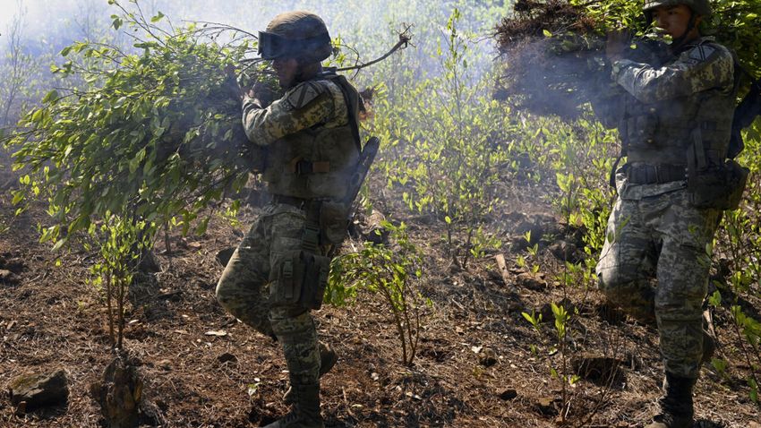 Coca crops take root in Mexico as opium demand wanes