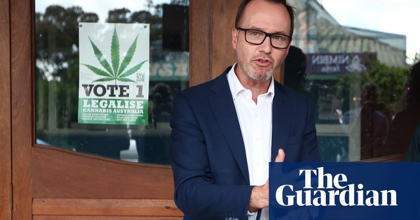  Australia spends billions ‘failing to police’ cannabis that earns black market $25bn a year, Greens say