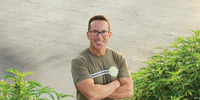 Michigan cannabis farmer plans for growth: His 14-foot plants are harvested with a chainsaw.