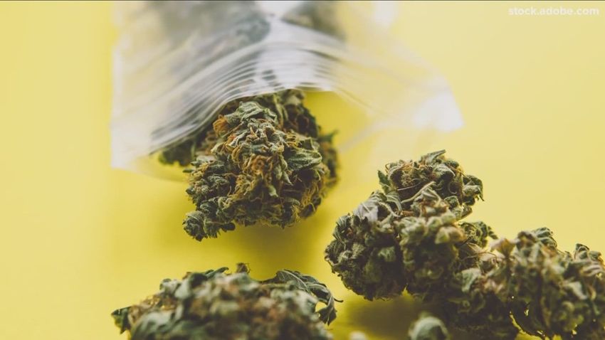 Crackdown proposed over illegal pot shops in New York