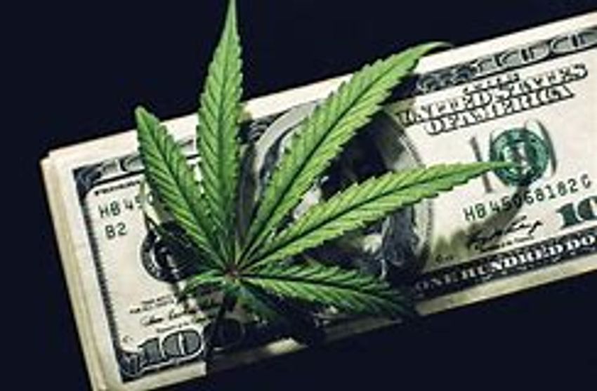 If You Read Nothing Else Today, Read This Report on Marijuana Stocks
