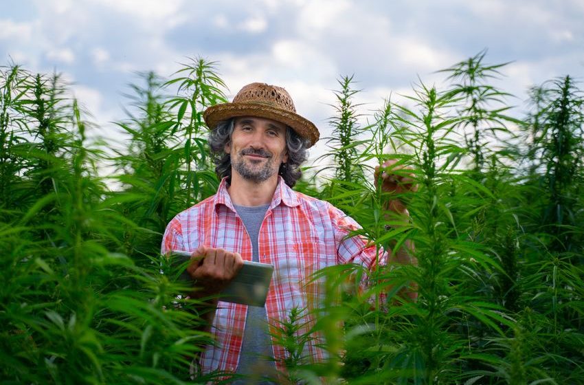 Is Green Thumb Industries Stock a Buy Now?