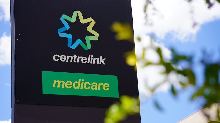  Legalise Cannabis allowed to use Centrelink recipients as volunteers ahead of NSW election