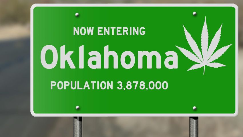  Oklahoma Voters Head To The Polls To Decide On Marijuana Legalization
