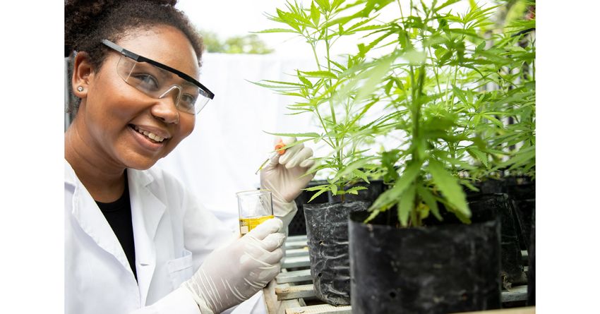  NJEDA To Launch Eligibility Assessment Tool for Phase I of Its Cannabis Equity Grant Program Offering Grants of $250,000 for Qualifying Start-Ups