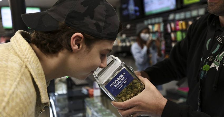  New customer-friendly legal recreational cannabis in Missouri cuts into Illinois’ market