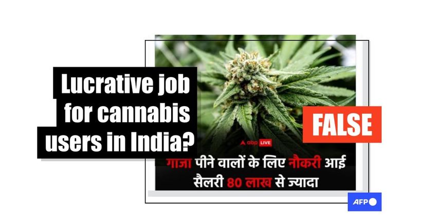  Job advert for cannabis users in Germany falsely linked to Indian state government